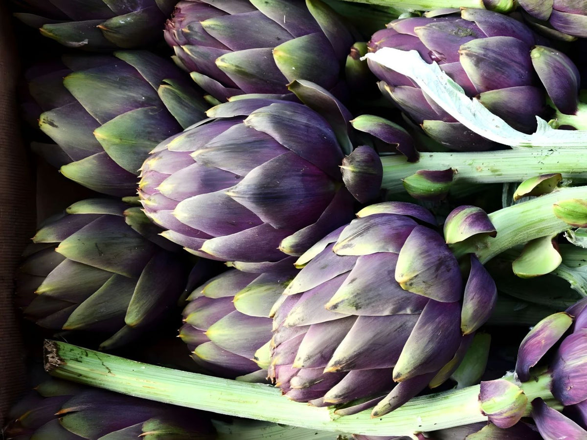 Artichoke: Origin, History and Culture – Paesano