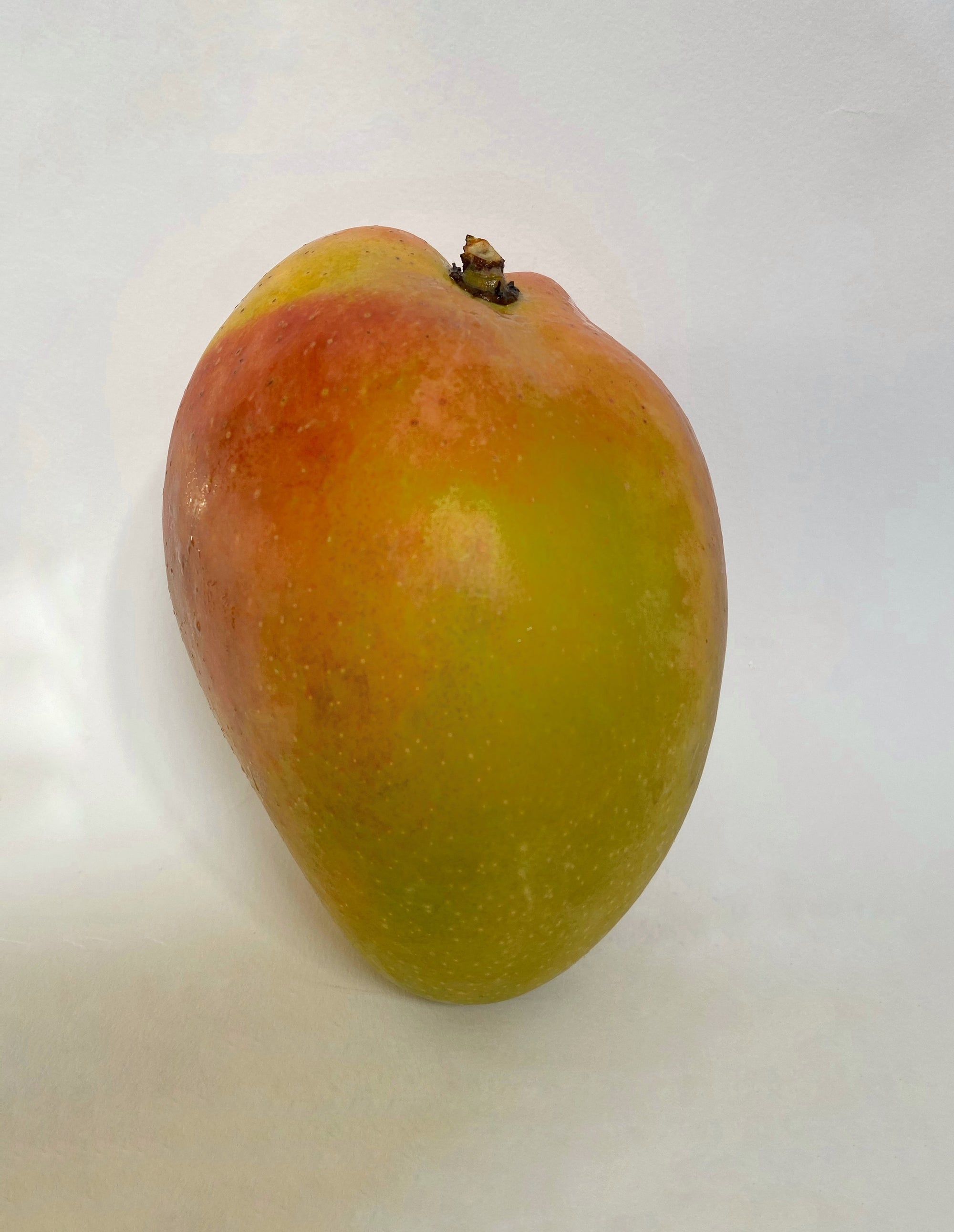 Mango Kensington Pride